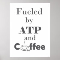 Mit ATP und Kaffee gespeist