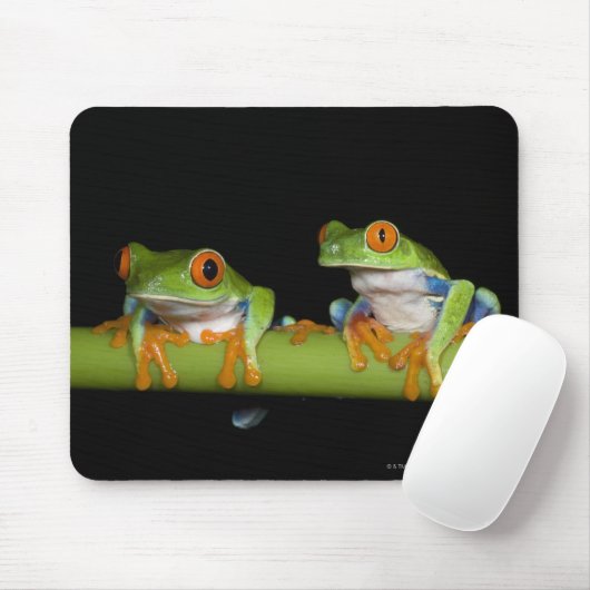 Mit Augen Baumfrösche (Agalychnis callidryas) Mousepad (Mit Mouse)