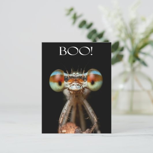 Mit Augen Damselfly Postkarte (Stehend Vorderseite)