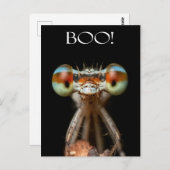Mit Augen Damselfly Postkarte (Vorne/Hinten)