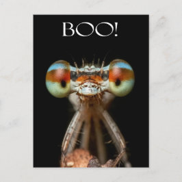 Mit Augen Damselfly Postkarte