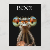 Mit Augen Damselfly Postkarte (Vorderseite)