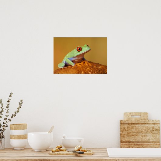 Mit Augen Frosch Poster (Küche)