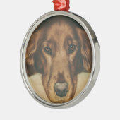 Mit Augen goldener irischer Hund Browns Silbernes Ornament (Links)