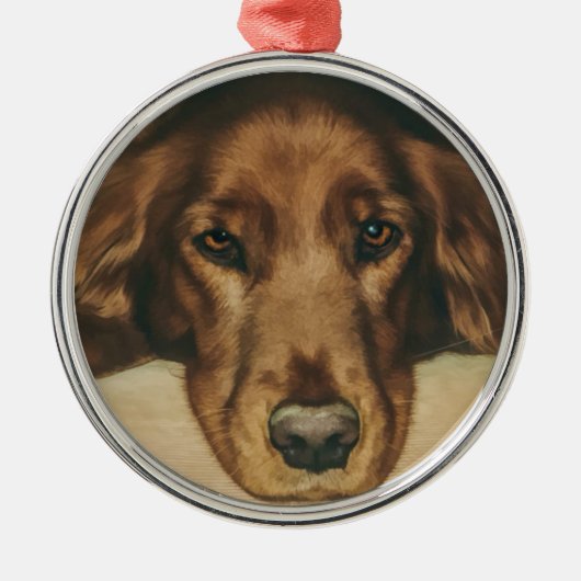 Mit Augen goldener irischer Hund Browns Silbernes Ornament (Vorne)