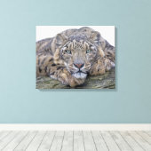 Mit Augen grüner Blickwinkel, ummantelte Leinwand (Insitu (Holzboden))