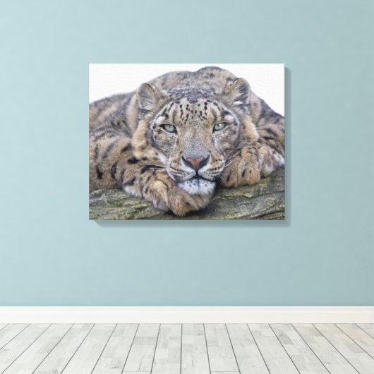 Mit Augen grüner Blickwinkel, ummantelte Leinwand (Insitu (Holzboden))