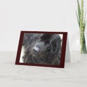 mit Augen Hugo Karte (Vorderseite)