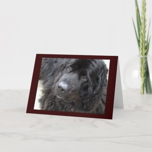 mit Augen Hugo Karte (Vorderseite)