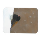 Mit Augen Junco-Malerei - Original Bird Art Magnet (Horizontal)