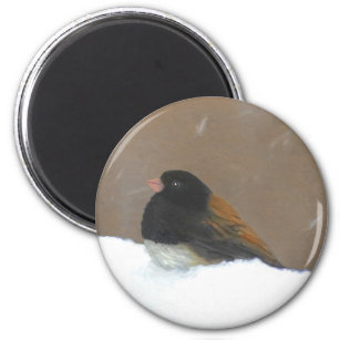 Mit Augen Junco-Malerei - Original Bird Art Magnet
