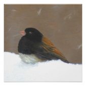 Mit Augen Junco-Malerei - Original Bird Art Poster (Vorderseite)