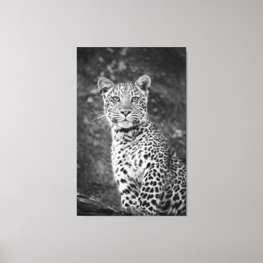 Mit Augen junger Leopard Leinwanddruck (Vorderseite)