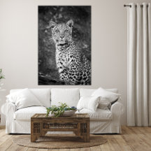 Mit Augen junger Leopard