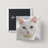 mit Augen Katze nah Button (Vorne & Hinten)