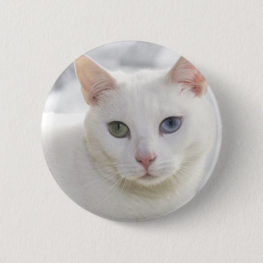 mit Augen Katze nah Button (Vorderseite)