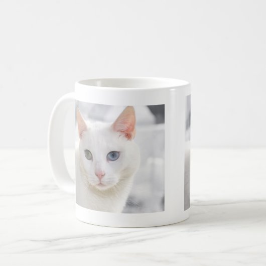 mit Augen Katze nah Kaffeetasse (Vorderseite Links)