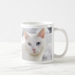 mit Augen Katze nah Kaffeetasse