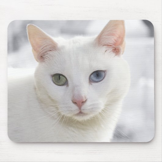 mit Augen Katze nah Mousepad (Vorne)
