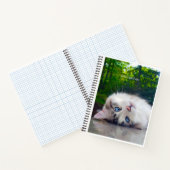 Mit Augen Katze Notizblock (Innenseite)