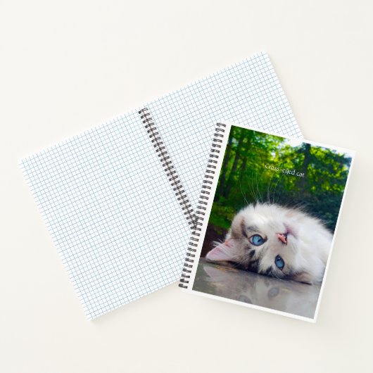 Mit Augen Katze Notizblock (Innenseite)