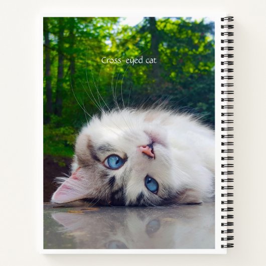 Mit Augen Katze Notizblock (Rückseite)