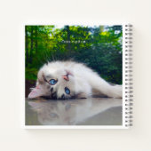 Mit Augen Katze Notizblock (Rückseite)
