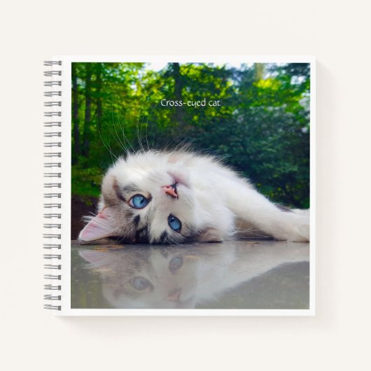 Mit Augen Katze Notizblock (Vorderseite)