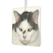 Mit Augen Katze überfliegen Autolufterfrischer (Links)