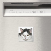 Mit Augen Katze überfliegen Magnet (In Situ (Geschirrspüler))