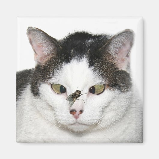 Mit Augen Katze überfliegen Magnet (Vorne)