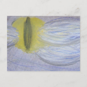 mit Augen Katzenmond Postkarte