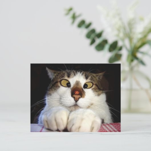 Mit Augen Kreuzung und Ladybird Postkarte (Stehend Vorderseite)