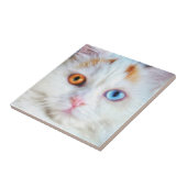 Mit Augen Perserkatze Fliese (Seite)