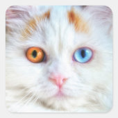 Mit Augen Perserkatze Quadratischer Aufkleber (Vorderseite)