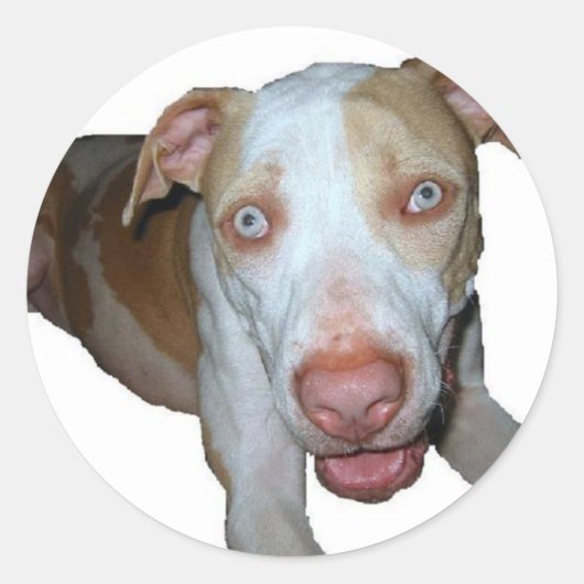 mit Augen Pillenaufkleber Runder Aufkleber (Vorderseite)