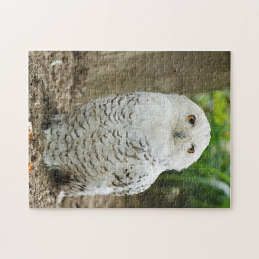 Mit Augen Raubvogel Puzzle (Horizontal)