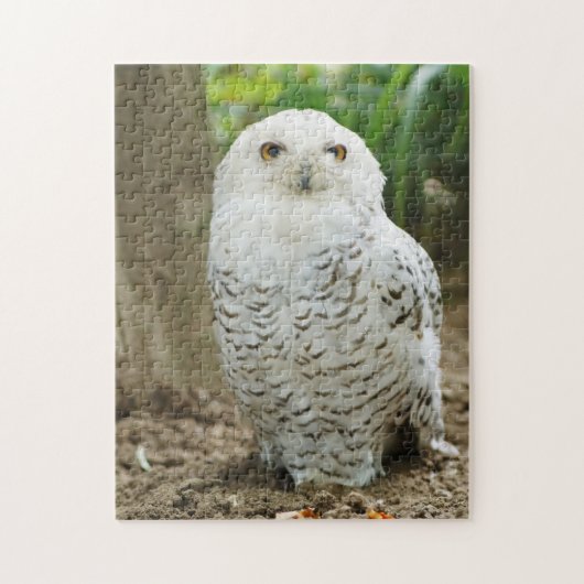 Mit Augen Raubvogel Puzzle (Vertikal)