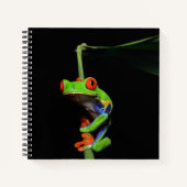 Mit Augen, roter Frosch Notizblock (Vorderseite)