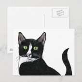 Mit Augen schwarz-weiße Katze Postkarte (Vorne/Hinten)