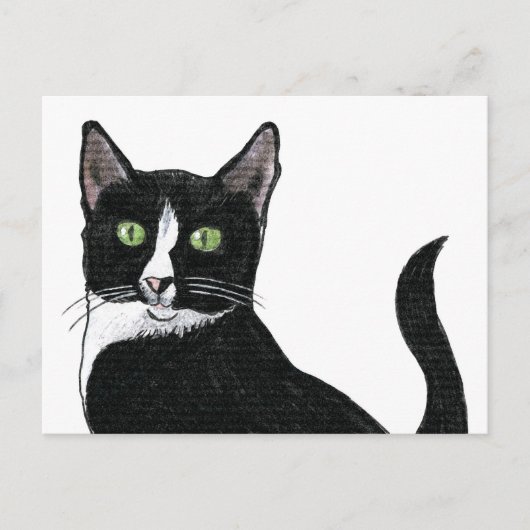 Mit Augen schwarz-weiße Katze Postkarte (Vorderseite)