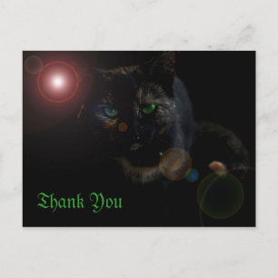 mit Augen schwarze grüne Katze auf schwarz Danke P Postkarte