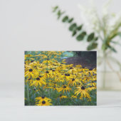 Mit Augen Susan Floral-Foto Postkarte (Stehend Vorderseite)