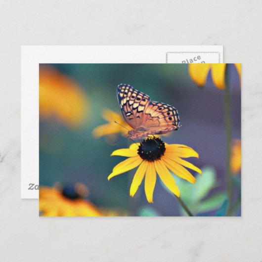 mit Augen Sushan mit Schmetterling 2 Postkarte (Vorne/Hinten)