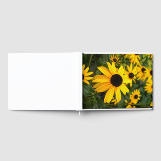 Mit Augen Sushi-Buch Gästebuch (Voll)