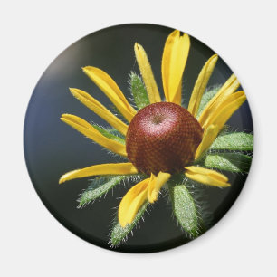 mit Augen Suspensionmagnet Magnet
