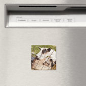 mit Augen Ziege Magnet (In Situ (Geschirrspüler))