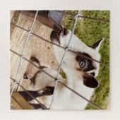 mit Augen Ziege Puzzle (Horizontal)