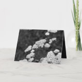 Mit Beileid Karte (Rückseite)