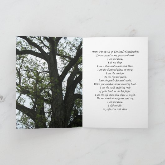 Mit Beileid u. Liebe Karte (Innenseite)